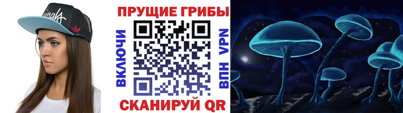купить наркоту  Татарск  Галлюциногенные грибы Psilocybe 
